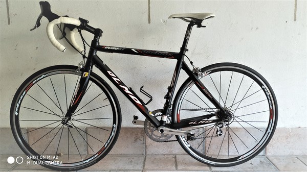 Olmo -