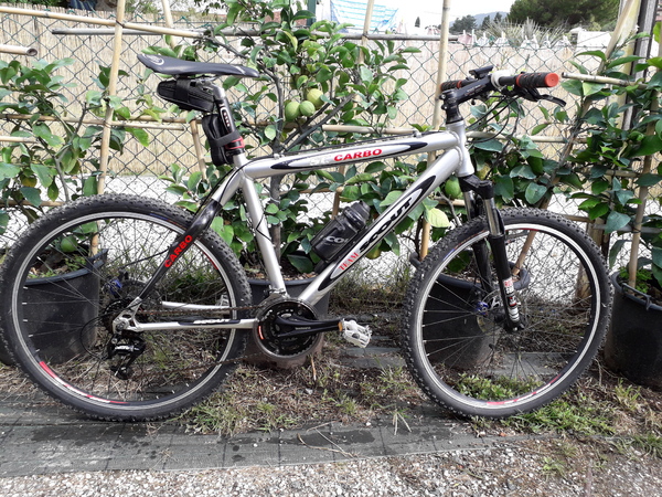 Scout - Sc carbon