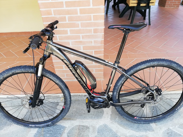Cannondale - Trail 1