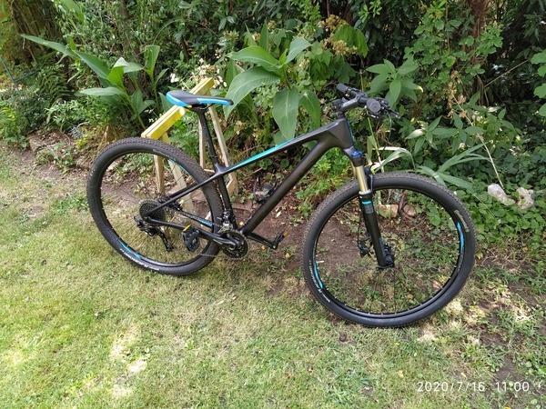 Focus - Raven Elite Carbon
