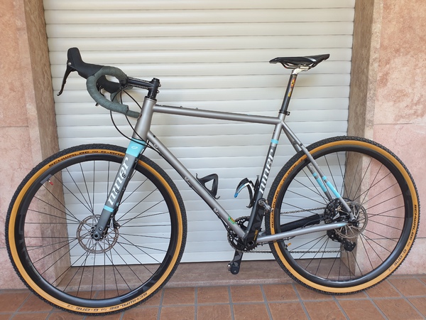 Niner - RLT steel