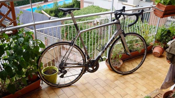 Trek - EMONDA SL 6