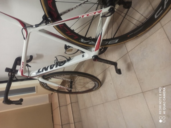 Giant - Tcr