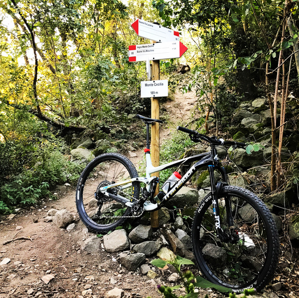 Transition - Smuggler GX 2018 alluminio tg XL