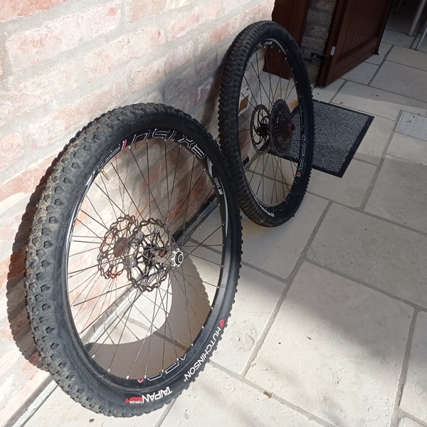 DT Swiss - EX1501 SPLINE ONE (Enduro)