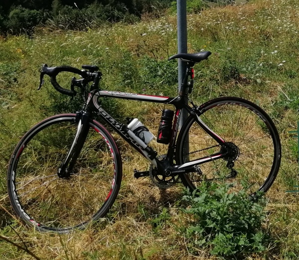 Olympia - Full carbon race