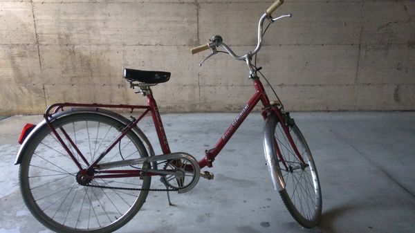 altra - Geminiani bici da passeggio