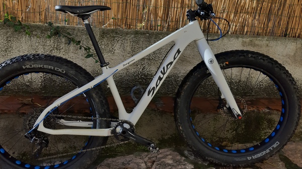 Salsa - Beargrease carbon