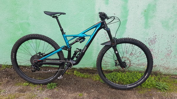 Specialized - ENDURO FSR ELITE CARBON 29