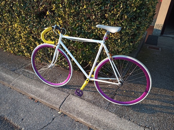 Assemblata - Bici Scatto fisso/Single Speed