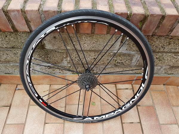 Campagnolo - Ruota posteriore CAMPAGNOLO SHAMAL ULTRA Copertoni