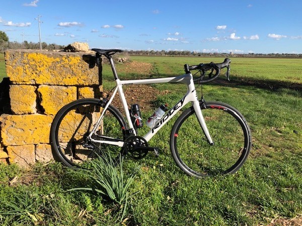 Ridley - Fenix Classic - 2019