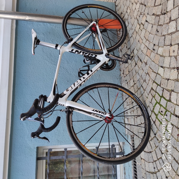 Giant - TCR