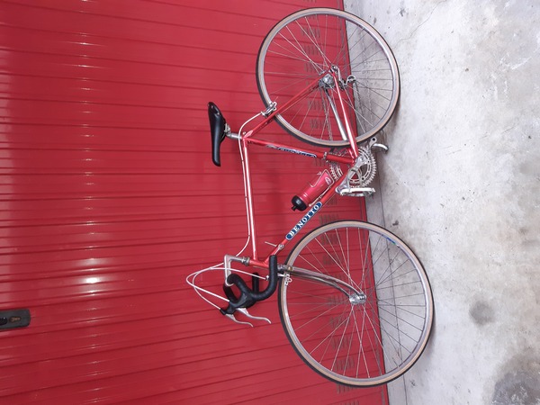 Benotto -