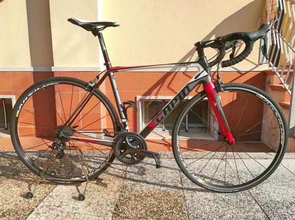 Scapin - Anouk