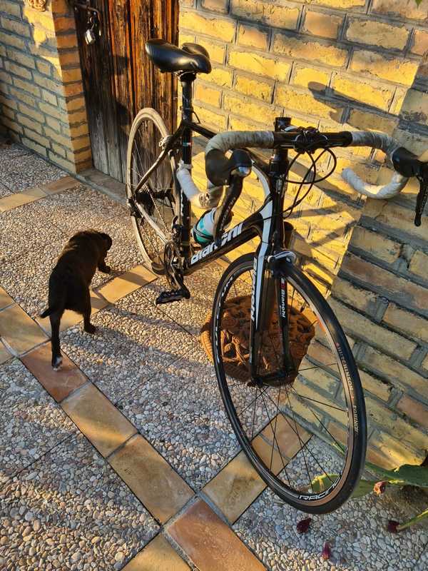 Bianchi -