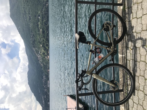 Specialized - sequoia