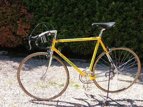 Coppi -