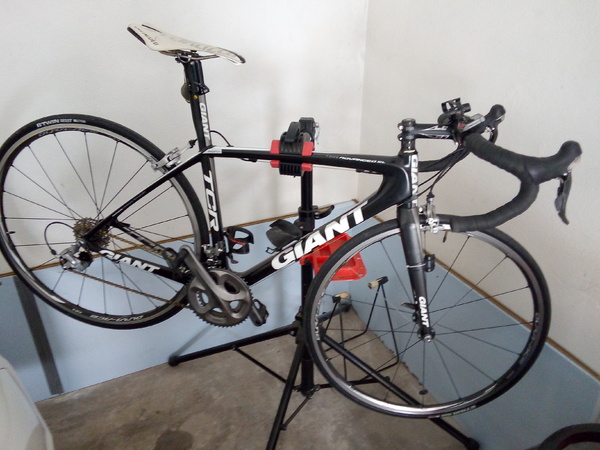 Giant - advanced tcr sl