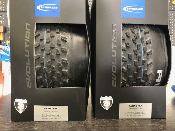 Schwalbe - Racing Ray