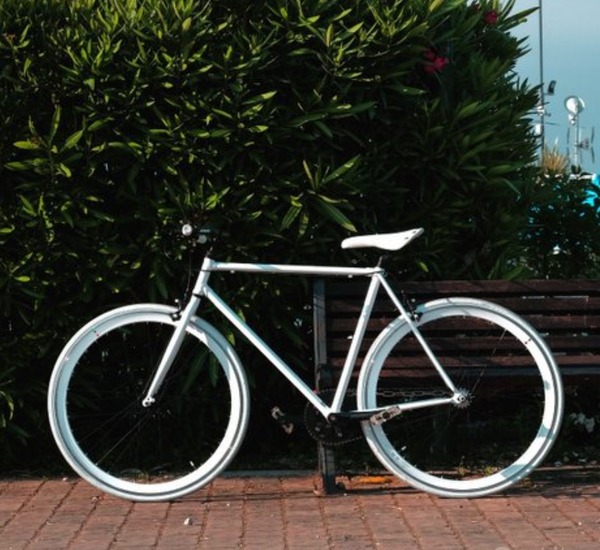 Olmo - Single Speed