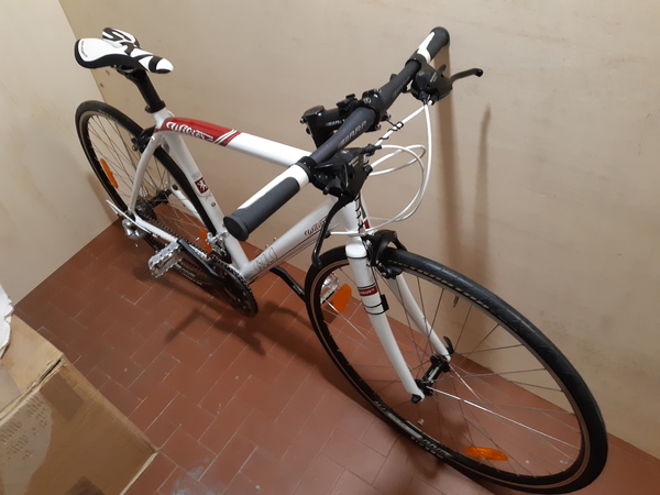 Wilier - Asolo