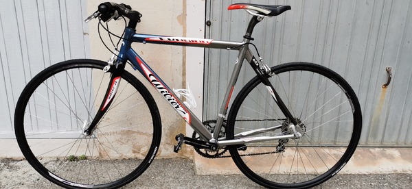 Wilier - Evasion