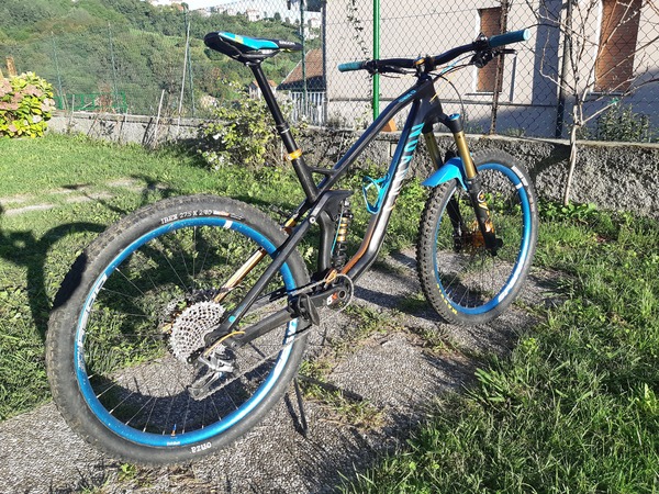 Canyon - STRIVE TEAM