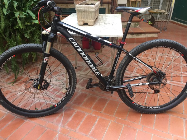 Cannondale - TRAIL SL 29 1