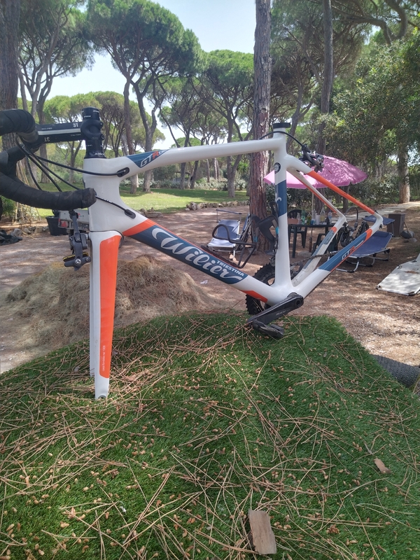 Wilier - Gtr