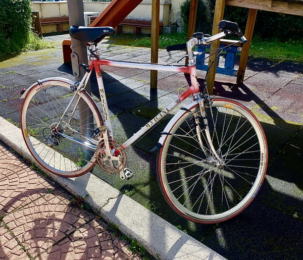 altra - VICINI Cesena City Bike 