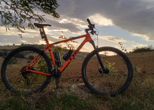 Trek - Procaliber 9.6