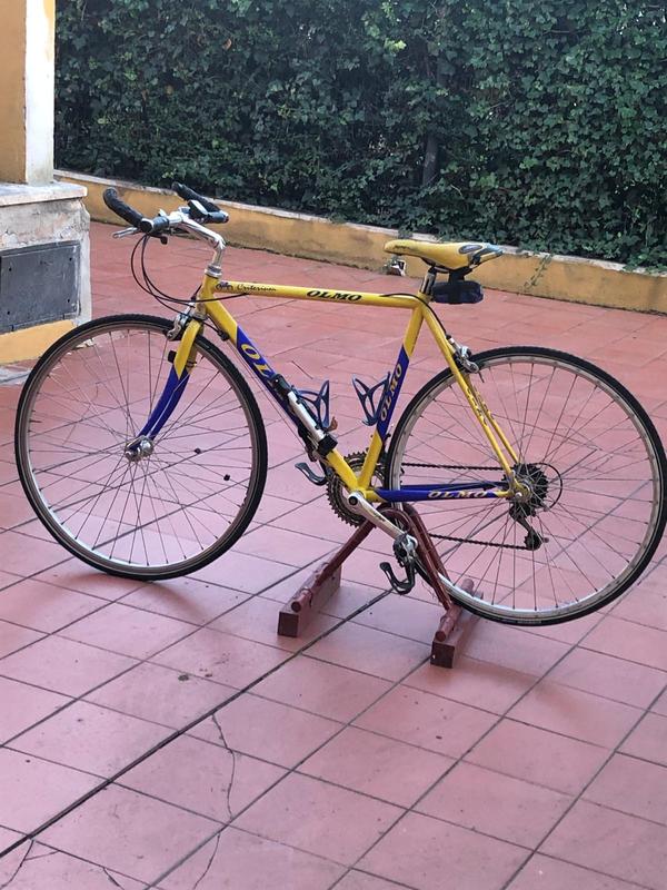 Olmo - 