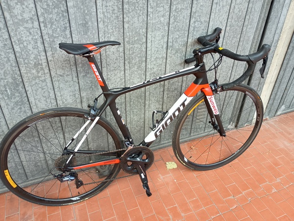 Giant - sunweb
