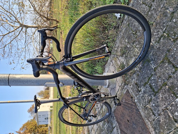 Giant - Giant TCR Advanced