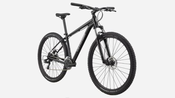 Cannondale - Trail 8 29" Grey Taglia XL