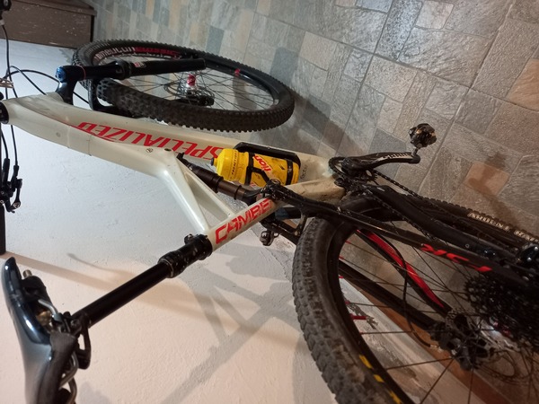 Specialized - camber