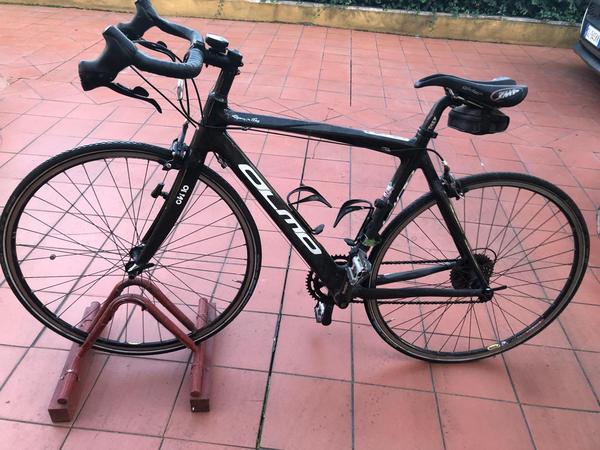 Olmo - 