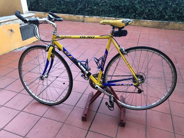 Olmo - 