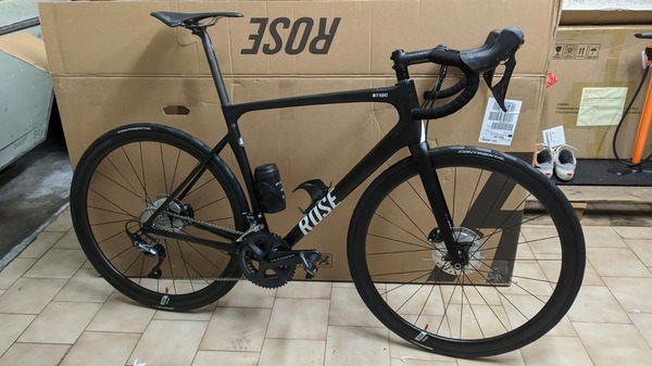 Rose -  X-LITE SIX DISC