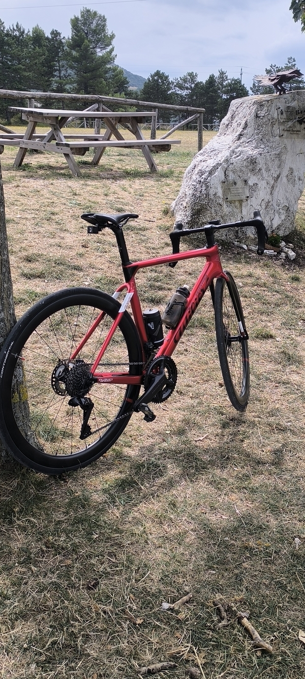 Wilier - Filante srl 