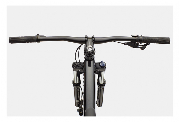 Cannondale - Trail SE 4