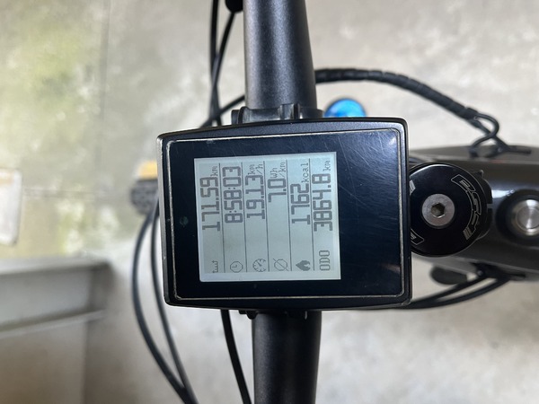 Bianchi - T tronic rebel 9.1