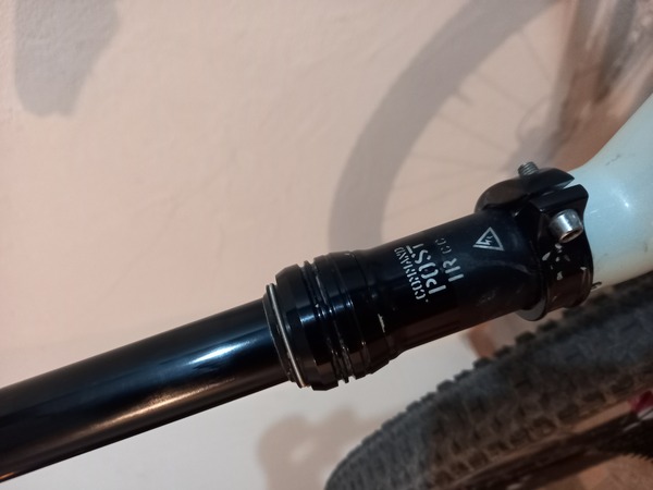 Specialized - camber