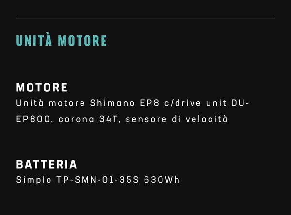 Bianchi - E-performer 9.3