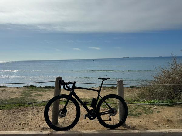 Rose -  X-LITE SIX DISC