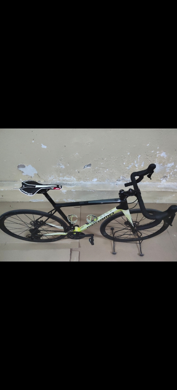 altra - MEGAMO  RAISE 