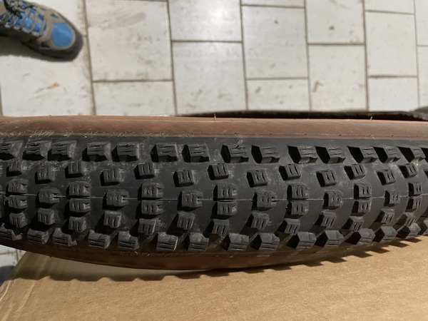 Schwalbe - Nobby Nic Wicked will