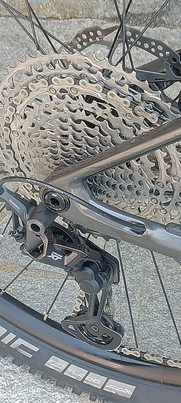 Orbea - Alma M carbonio 