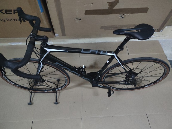 Focus - CAYO DISC 